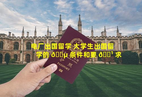 电厂出国留学 大学生出国留学的 🌵 条件和要 🌹 求